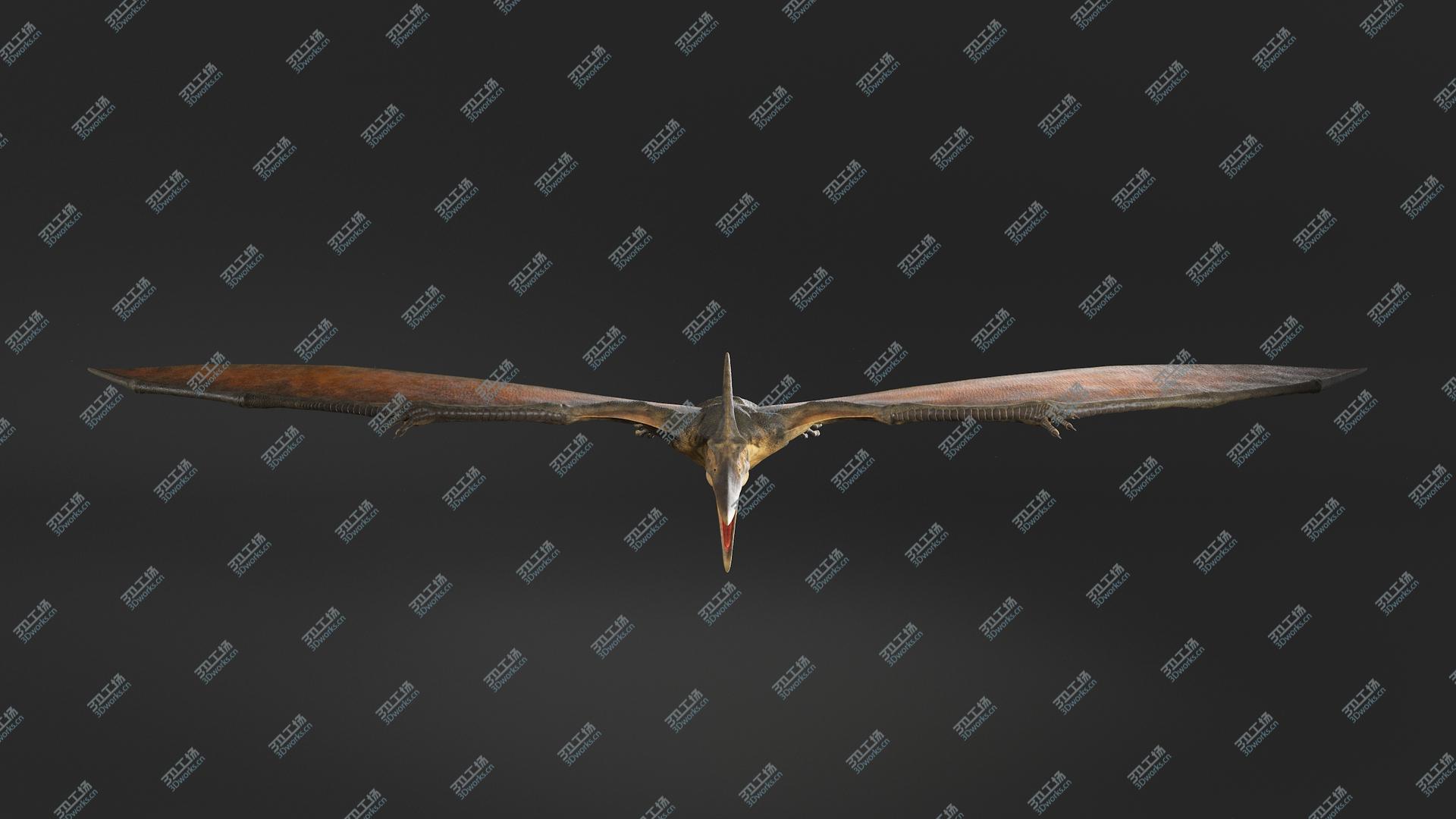 images/goods_img/20210313/3D Pteranodon No Rig(1)/3.jpg